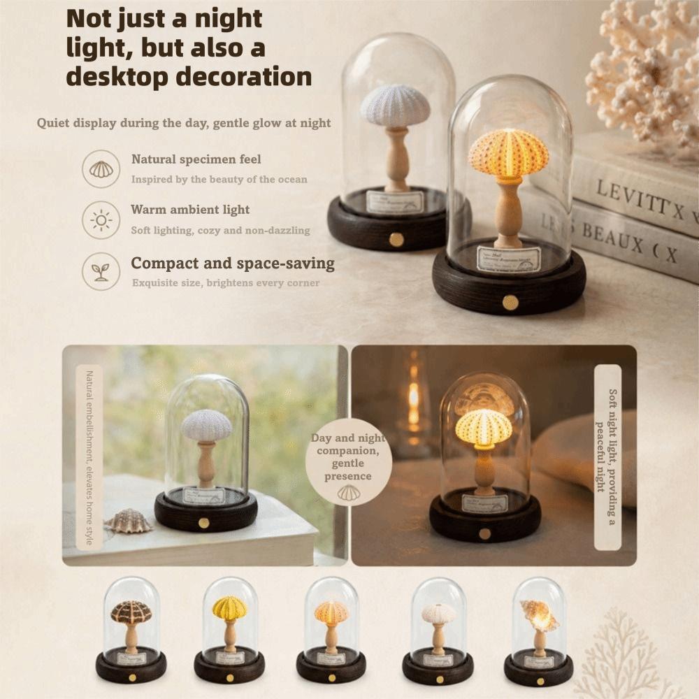Soft Lighting Sea Urchin Lamp Handmade Night Light Ornament Idea Shell Lamp Indoor Room