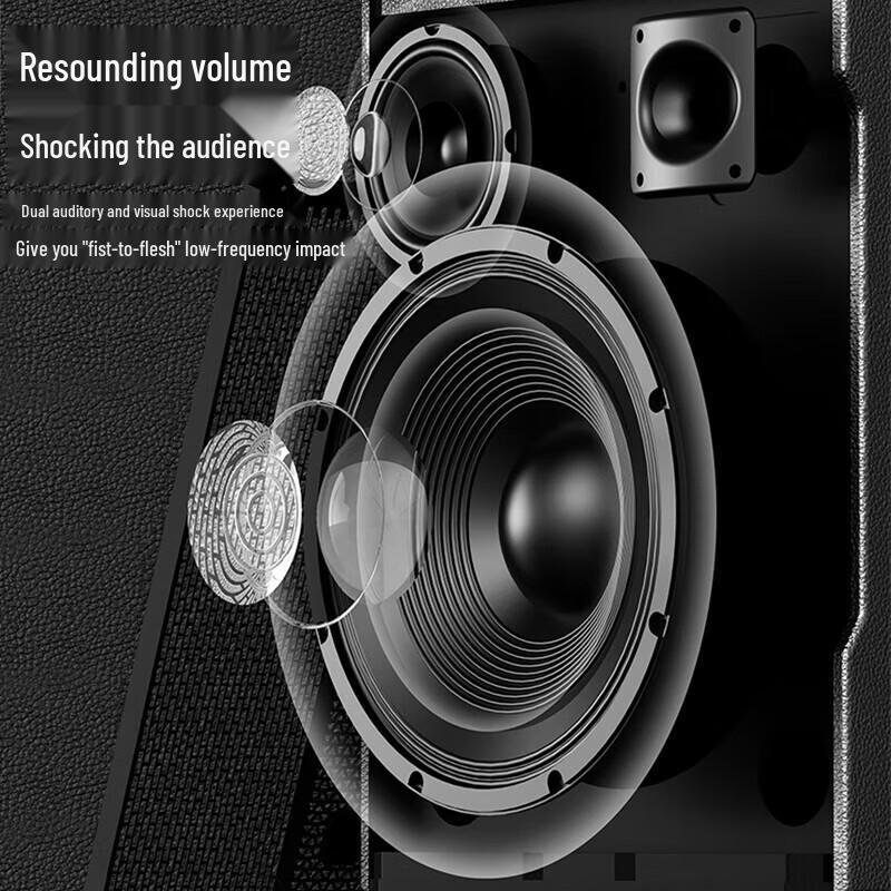 Beide Portable High-Power Karaoke System with 17-inch HD Screen CN Plug (adapter Included)