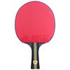 Double Fish K319A Table Tennis Racket Set