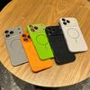 Crystal Lens Lychee Pattern PC Case Compatible with iPhone 16 Pro Max Apple 17 Phone Case 14/15 High-End Feel