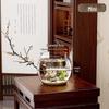 Betta Fish Viewing Tank: Compact Ecological Aquarium for Small Goldfish—Stylish Plastic Design for Home or Office Display