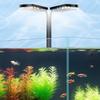Mini Fish Tank Dual Head Clip Light Usb Adjustable Led Water Grass Light Aquarium Lighting Lamp High Brightness Algae Lamp