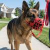Breathable Dog Muzzle Buckle Adjustable Dog Mouth Mask Anti-Biting Mouth Cover Walking