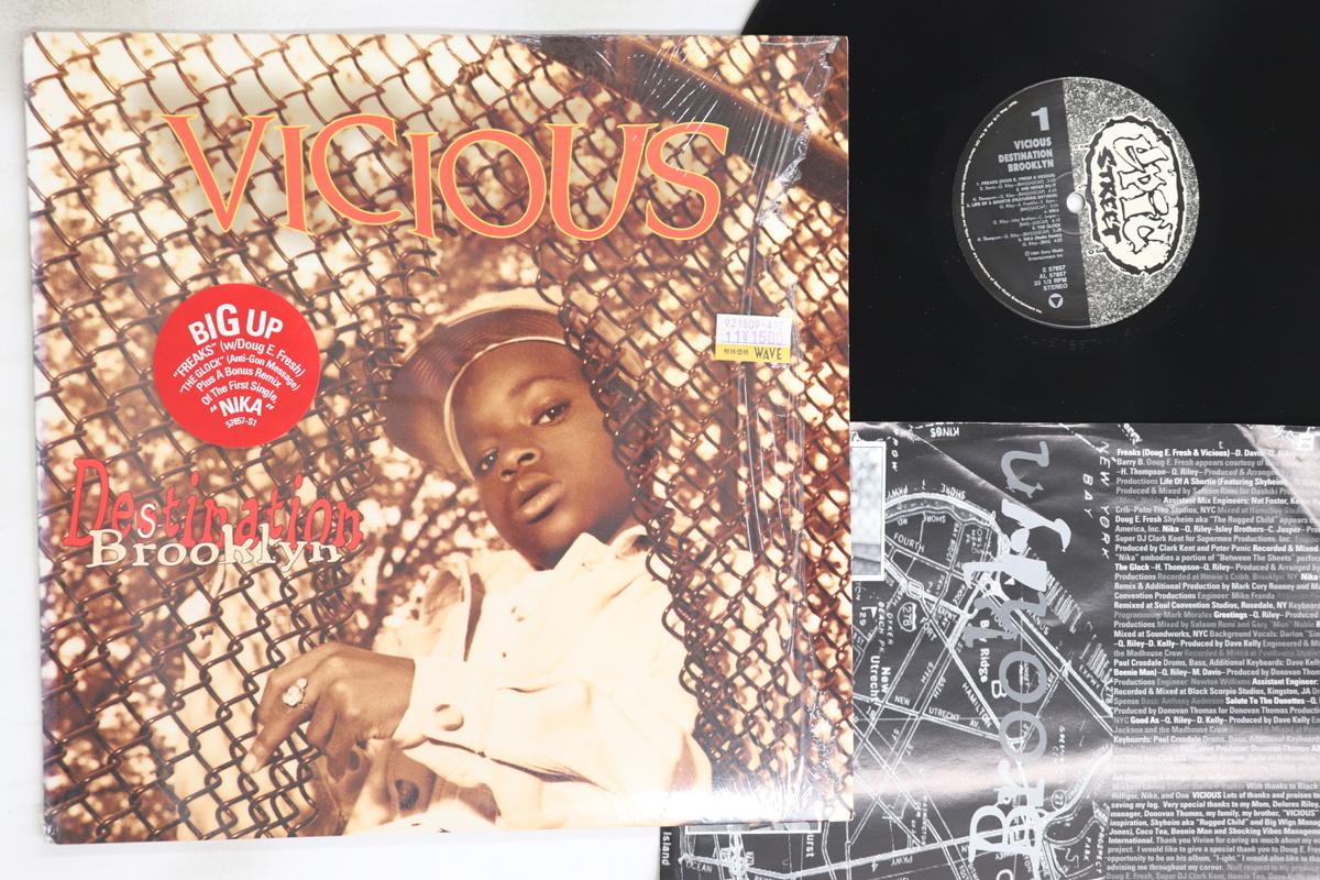 

LP Record LIL VICIOUS - Destination Brooklyn E57857 Epic Street 1994 US Rap & Hip-Hop/R&B Used
