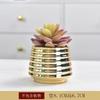 Electroplated Golden Ceramic Succulent Flower Pot Home Decor Horticultural Potted Creative Tabletop Plant Pots Floral Utensils