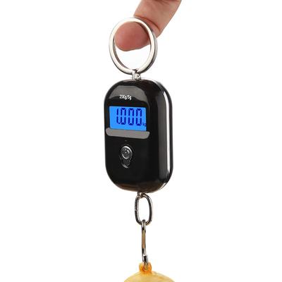 Nová digitální závěsná váha 25 kg x 5 g Mini elektronická váha s hákem na zavazadla LCD podsvícení Kuchyňský ocelový metr