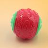 6pcs Interactive Squeaky Dog Chewing Ball For Puppies Adult Dog Teeth Cleaning Texture Ball for Outdoor Entertainment