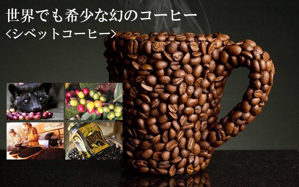 Luxury Coffee Beans Gift The Most Expensive Mysterious Civet Coffee Wild Civet Valuable Cape Aramid 100g Only now comes with a coffee [DIZON FARMS]