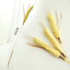 Cat Teaser Toy Bell Squeaky Interactive Feather Cat Toy Simulated Barley Teeth Cleaning Pet Cat Stick Toy