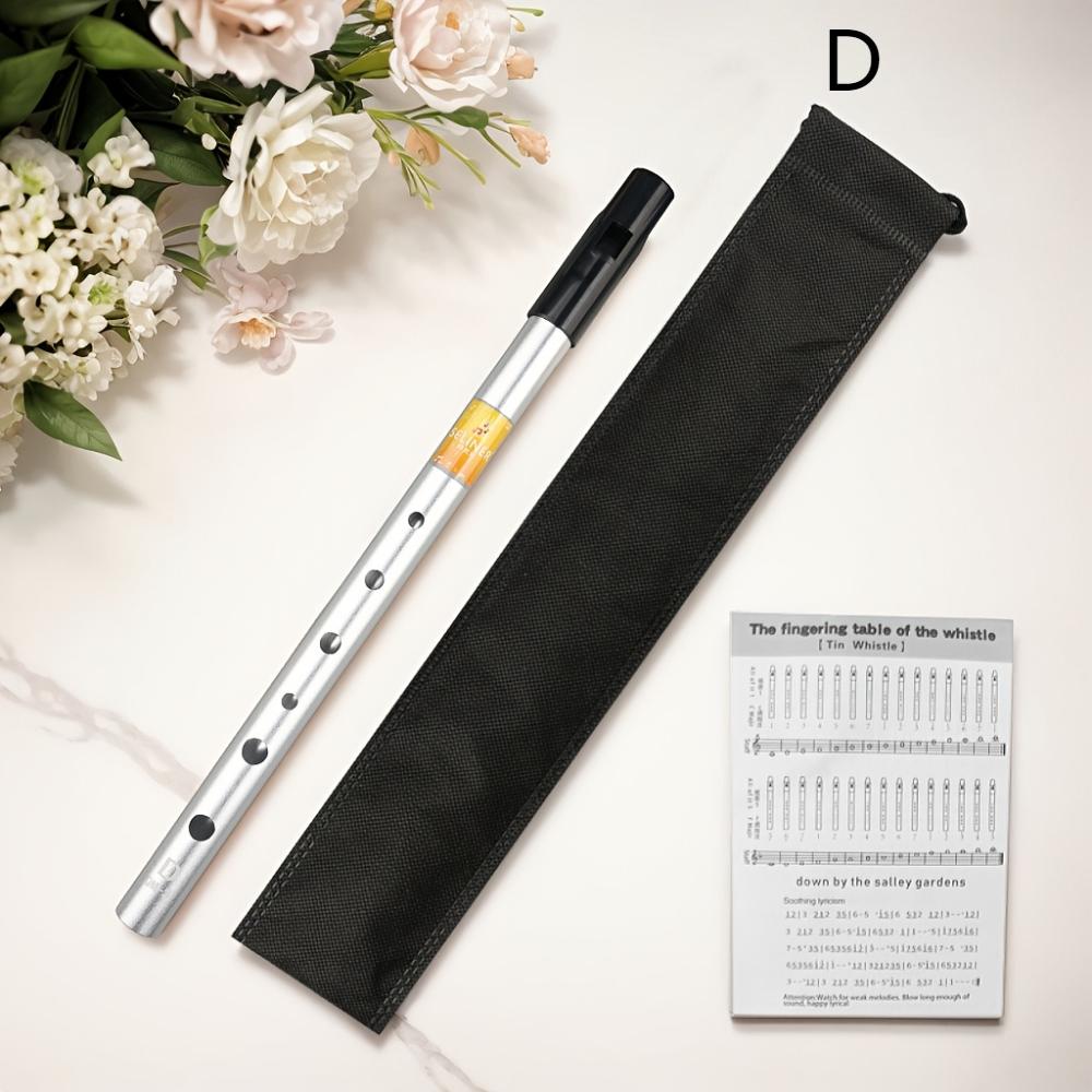 Irish Tin Whistle, C & D Key Optional, Recorder For Beginners & Professional Performance