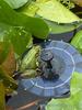 Luminous Solar Floating Water Pump - Outdoor Garden Fountain for Fish Ponds
