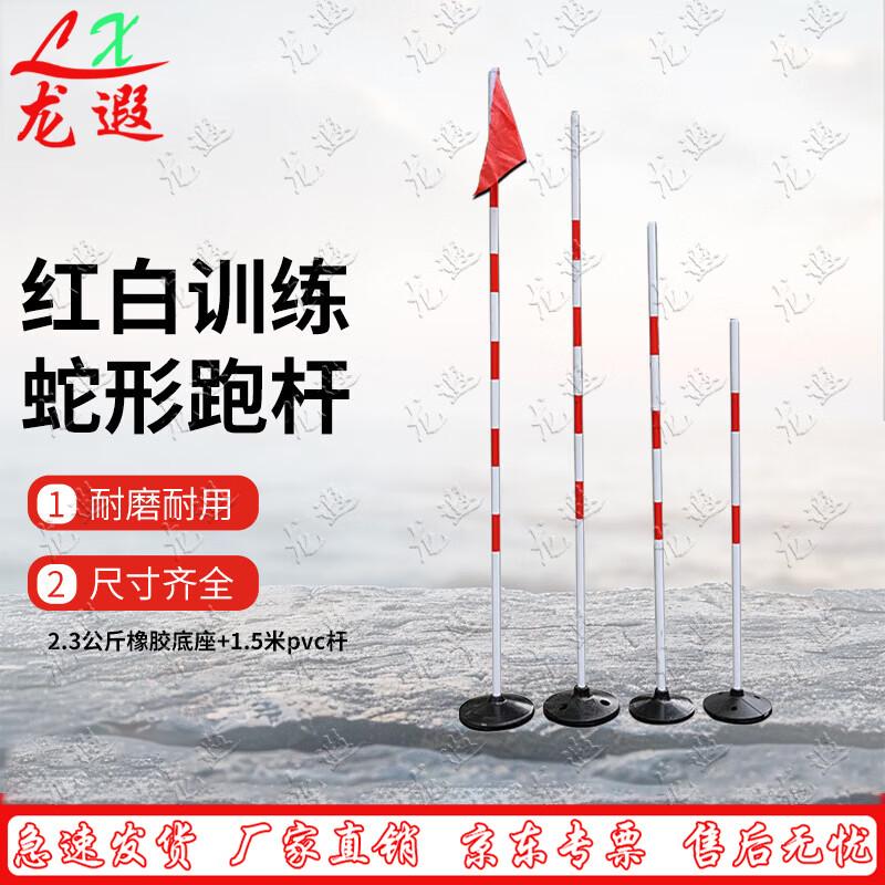 Longxia Training Slalom Poles and Bases