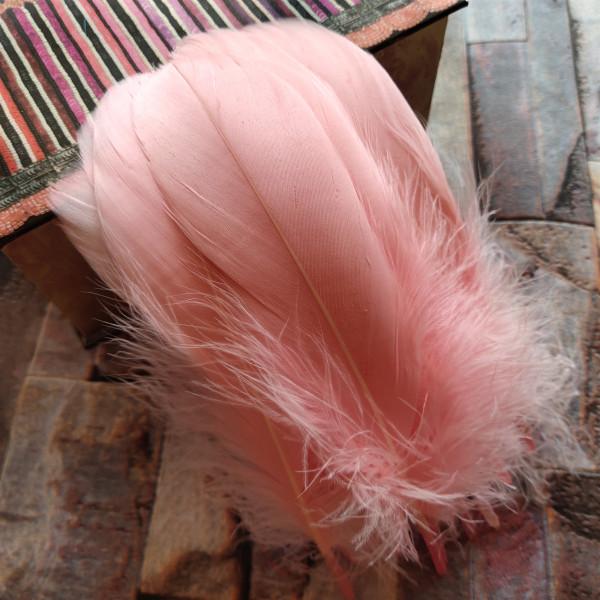 20pcs Natural Goose Feathers 31 Color Loose Goose Feathers 12-20cm Long Christmas Decoration Clothing Shoes Hat Accessories