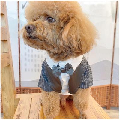 Giyim ve ayakkabı – Köpek Aksesuarları