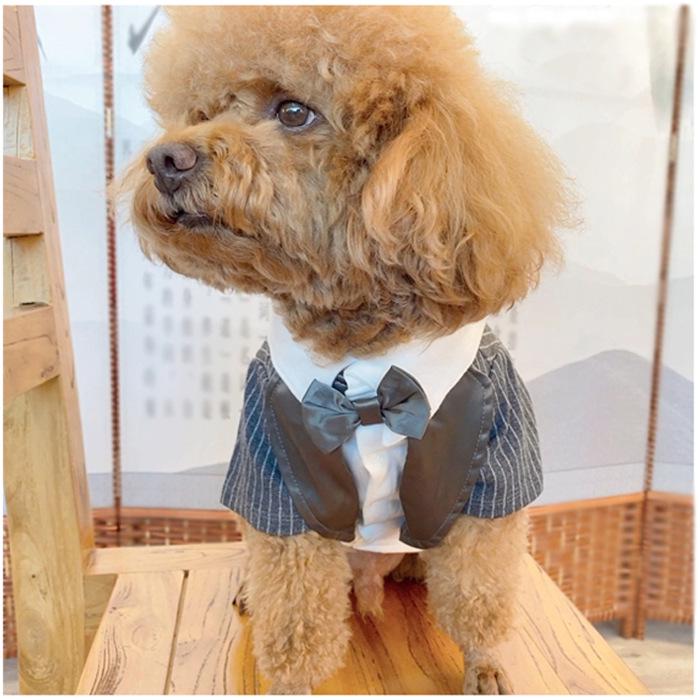 Formal Pet Suit for Small & Medium Dogs: Spring/Autumn Wear for Teddy, Bichon, Kittens