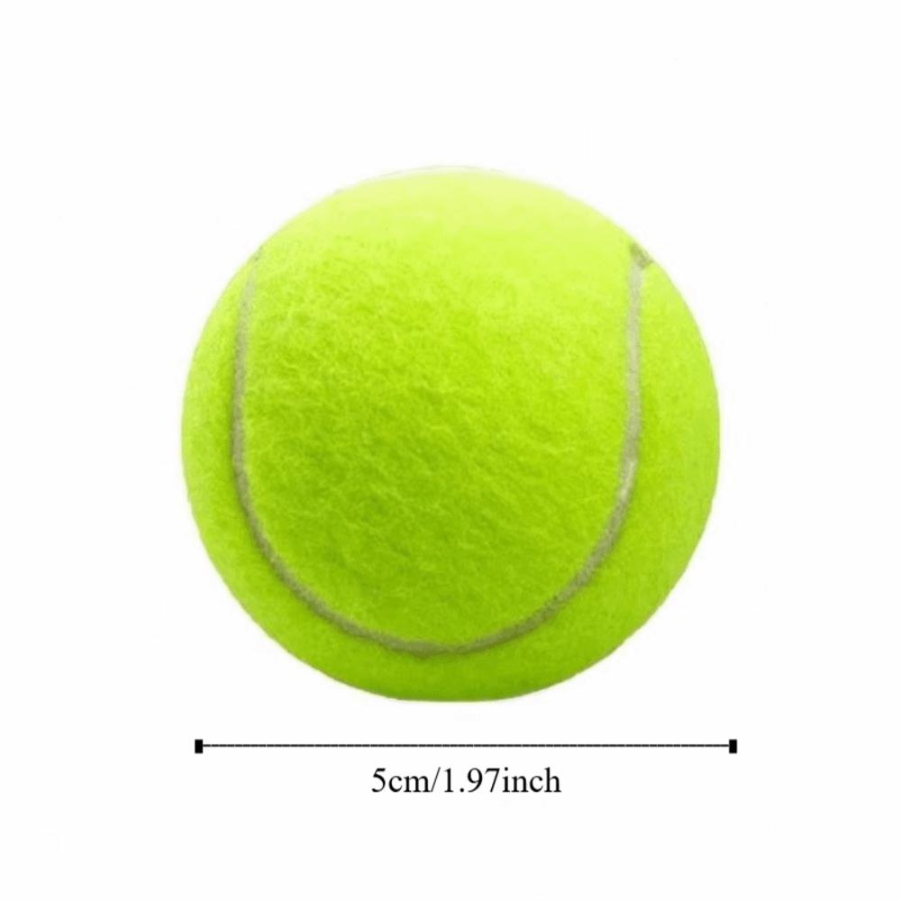 Durable Pet Playing Balls Non-Toxic Practice Ball New Tennis Balls  Tennis Club