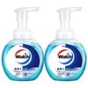 Health Protection Foaming Antibacterial Hand Soap - 4 X 225ml
