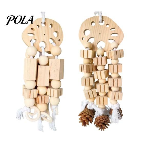 Parrot Gnawing Accessory Wooden Blocks Toy, Bird Chew Toy with Beads Pinecones, Safe Pine Cone Beak Grinding Cage for Macaws African Greys Large