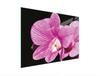 SZKLANA DESKA DO KROEJNIA 30x22 ORCHIDEA