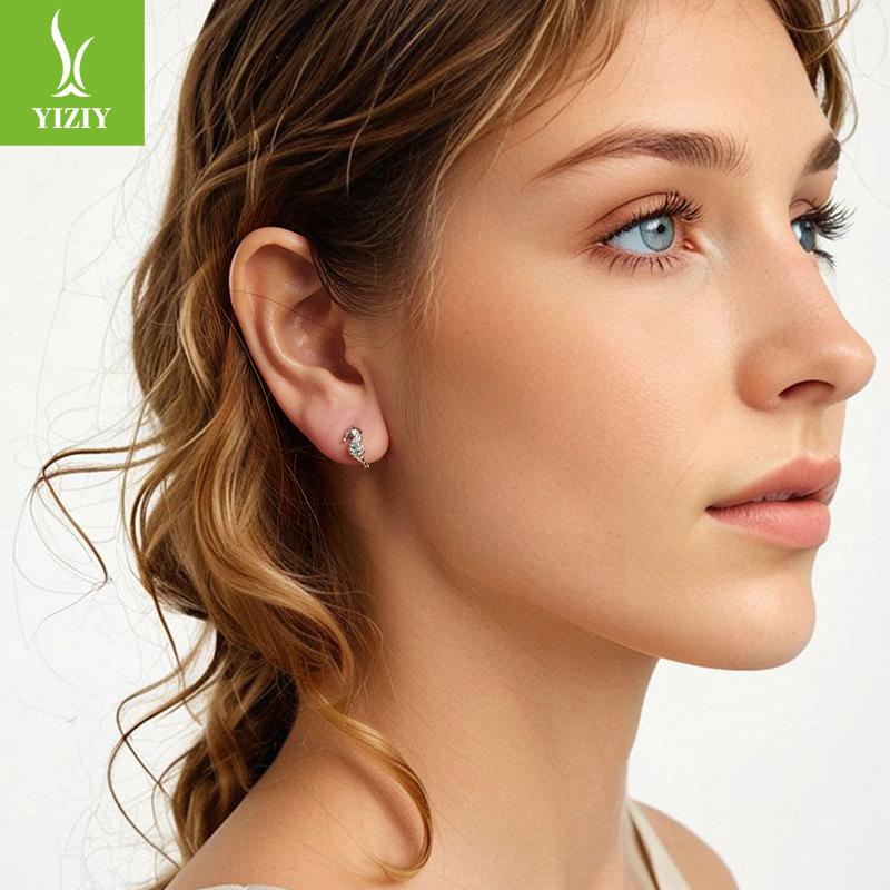 S925 Sterling Silver Platinum-Plated Non-Fading Hippocampus Ear Buckle Ocean Style Fashion Niche Temperament Earrings Women