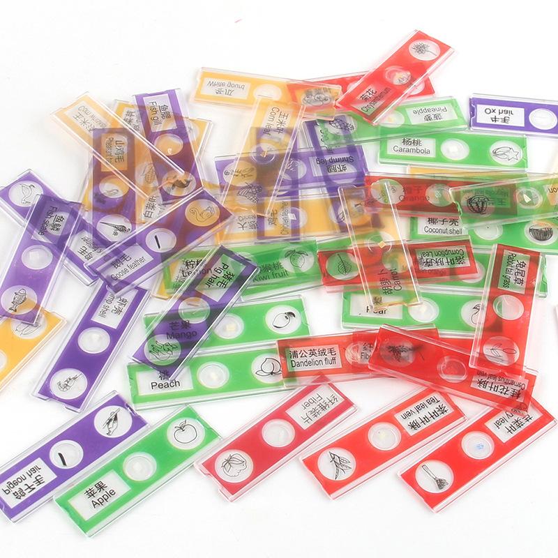 Children'S Microscope Animal Plant Insect Fruit And Vegetable 12Pcs Biological Specimen Set Scientific Experiment Toy Accessories