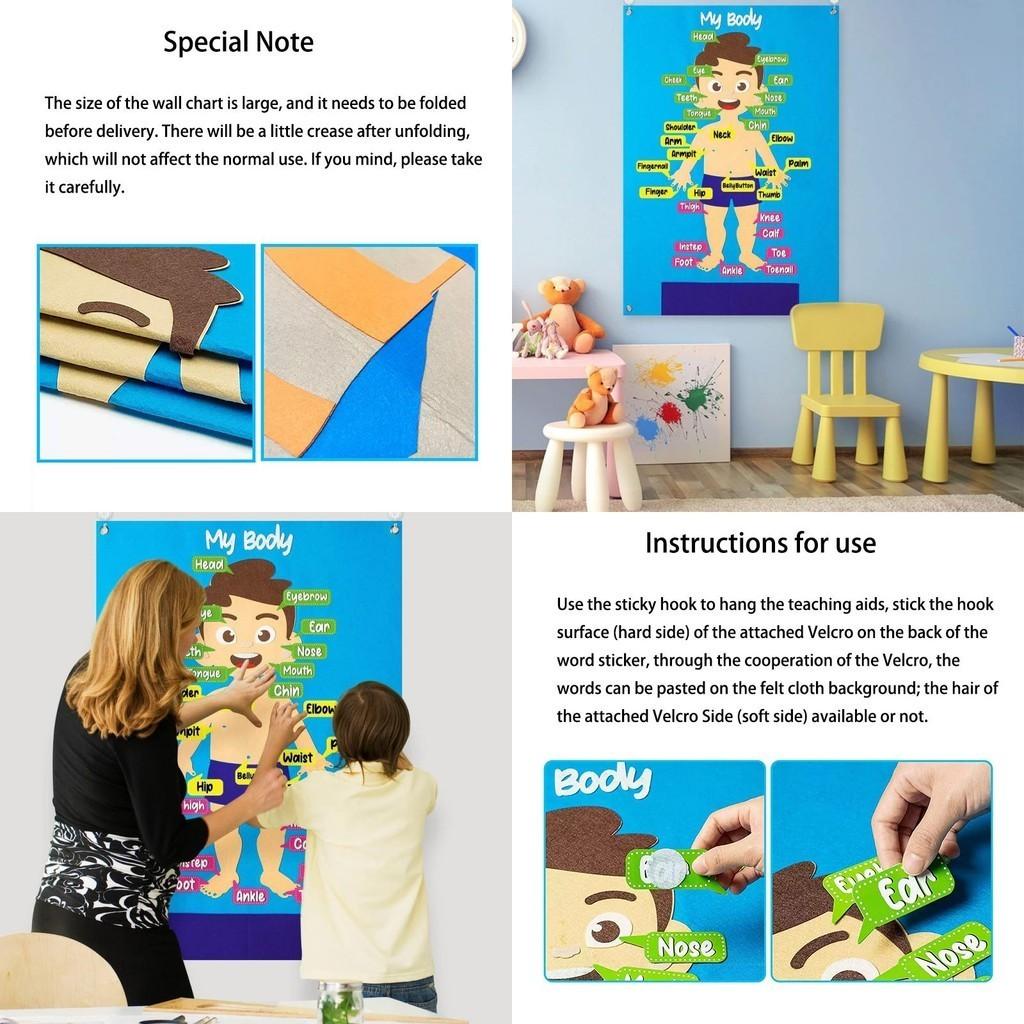 Kids' Felt Body Structure Puzzle Board With Organ Images