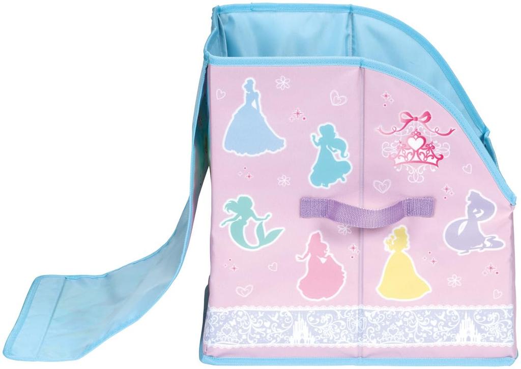 Skater School Backpack Storage Princess SRBX1 Case, Disney,
