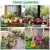 12 Pcs 8 Inch Plant Level Pot Elevator Plant Stand Heavy Duty Plant Stand Black Round Stand Saucer Plant Flower Pot Holder
