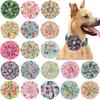 Giyim ve ayakkabı – Köpek Aksesuarları