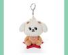 [USED] TXT PPULBATU Beomgyu *BAMGEUT* Plush Key Ring