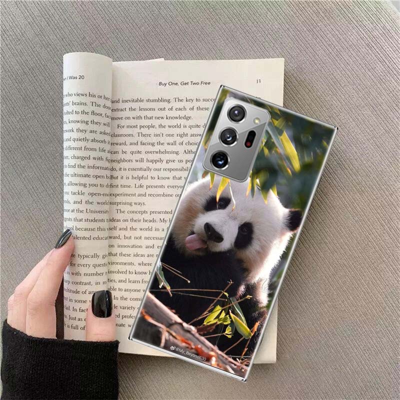 Panda Baby, Giant Panda Family Phone Case For Samsung Galaxy S25 Edge S24 S23 FE S22 S26 Ultra S21 S20 S10 Plus Capa Soft