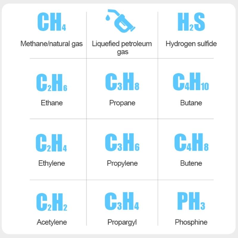 Portable Combustible Natural Gas Leak Location Determine Meter Tester Analyzer Accurate Detection with Sound Light Alarm
