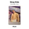 Stray Kids ROCCIA()-Fotocarta Ufficiale STAR