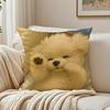 BBichon Frise Cushion Cover Linen Pillowcase Soft  for Sofa Bed Home Room Decor