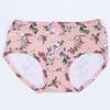 Women's Underwear Panties for Women Ladies Briefs for Everyday Wear