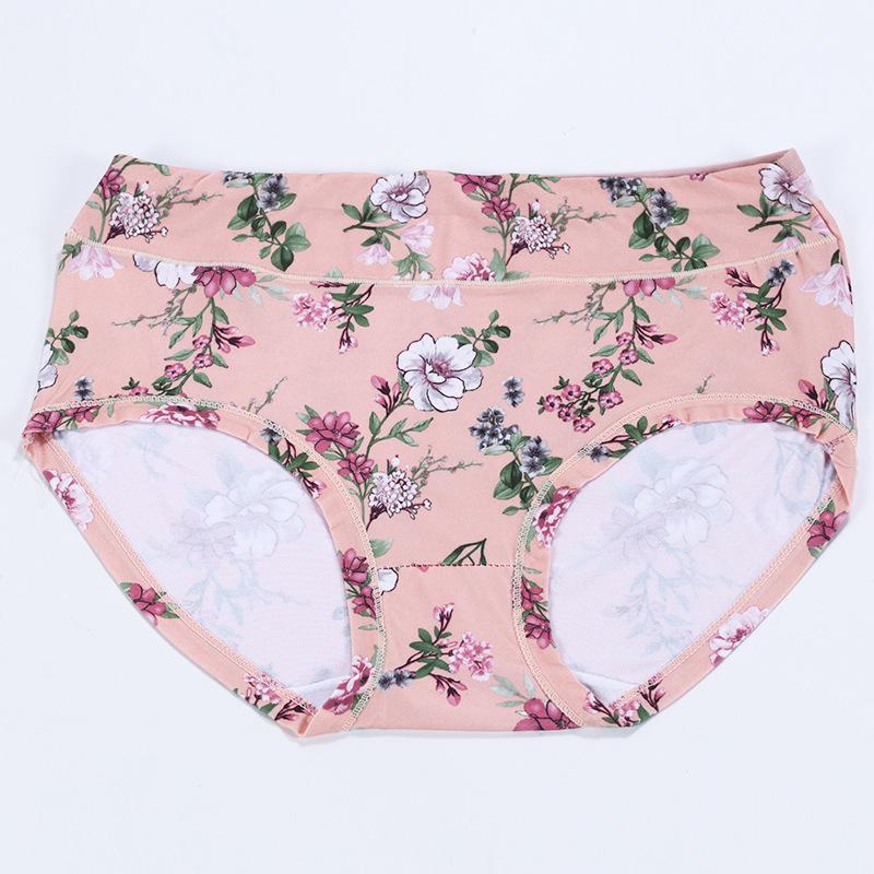 Women's Underwear Panties for Women Ladies Briefs for Everyday Wear