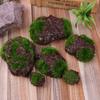 Plant Home Garden Decoration DIY Simulation Prop Rock Fake Stone Foam Moss Stone Micro Landscap