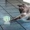 ABS USB Aufladen Smart LED Leuchtendes Licht Haustier Katze Spielen Automatische Rollende Ball Spielzeuge(Grün)