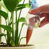 Bird Self Watering Spikes Clear Bird Bulb with Terracotta Spike Automatic Watering Spikes Plant Watering Device for Plants