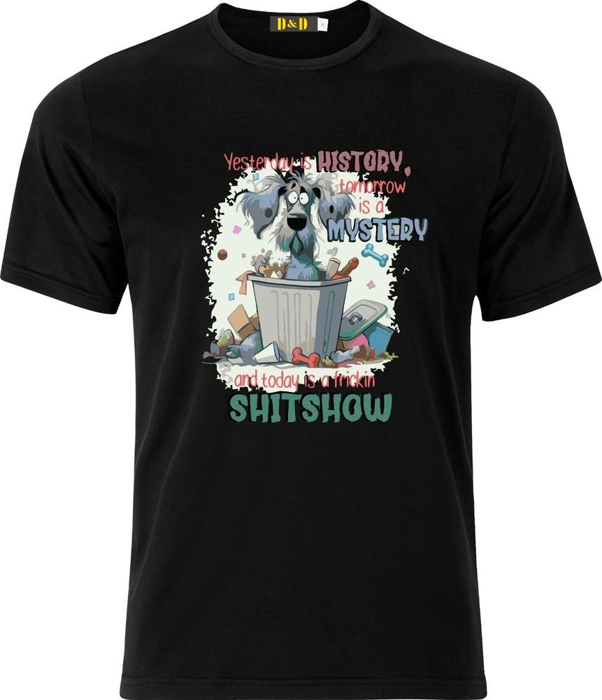 

Yesterday is History and Today is a Frickin Shitshow Adult DTF T-shirt 2XL