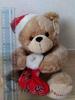 [USED] Teddy Bear Hawaii Exclusive Christmas Santa Bear Plush Toy