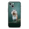 Cartoon Animal Bear Fox Squirrel Luxury Phone Case For iPhone 17 Air 16 Plus 13 15 14 12 11 Pro MAX 7 8 SE Soft TPU Black Cover