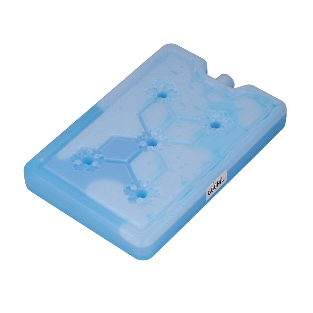 Outdoor Portable Freezer Picnic Camping Travel Fruit Cooler Box Reusable Ice Pack 600ML