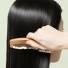 Ryo Root:Gen Shampoo (5 Options)