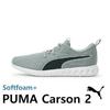 Puma Softfoam Flyer Flex Unisex Walking Shoes Running Shoes Running Shoes Flyer Flex 195201 01 05 28