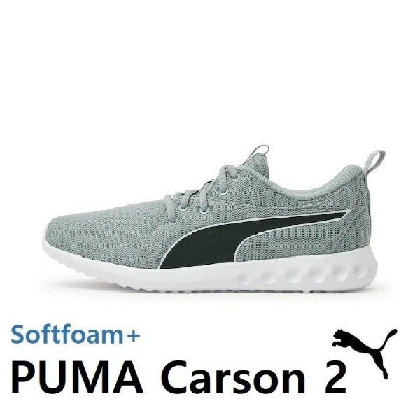 Puma Softfoam Flyer Flex Unisex Walking Shoes Running Shoes Running Shoes Flyer Flex 195201 01 05 28