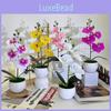 New Four Flower Small Round Orchid Desk Plant With Artificial Flowers For Home Decor And Office Use