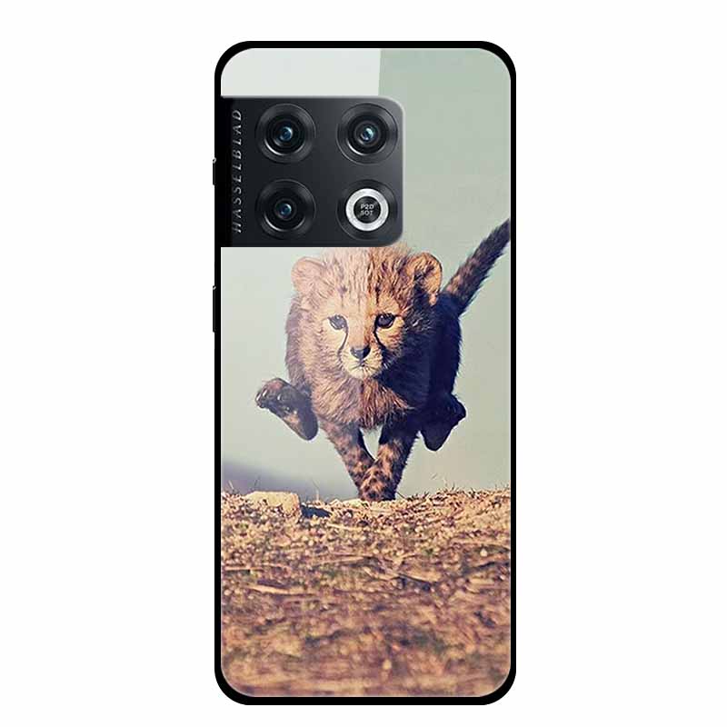 For One plus 10 Pro Case Shockproof Tempered Glass Hard Back Cover For OnePlus 10 Pro 10Pro Oneplus10 1+10 Pro Bumper Coque Case