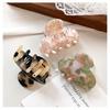 2026 New Korean Style Hair Claw Clip Fairy Hair Clips Mini Delicate Hair Claw Pretty Hairclip Accessories For Women