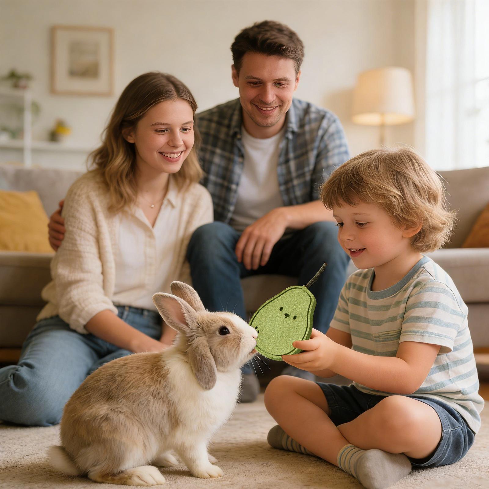 

Rabbit Chews Natural Teething Digestive Support Treats Chew Toy Rabbit Cage Accessories For Play Training Enrichment Boredom China Mainland